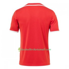 Fußballtrikots Tunesien WM 2018 Auswärts-trikot kaufen